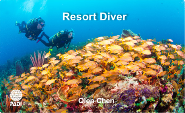 12/12正式上線！PADI 最新課程【休閑潛水員Resort Diver】 丨 一天拿證，潛遍全球