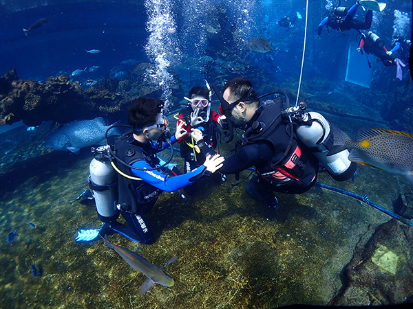 12/12正式上線！PADI 最新課程【休閑潛水員Resort Diver】 丨 一天拿證，潛遍全球